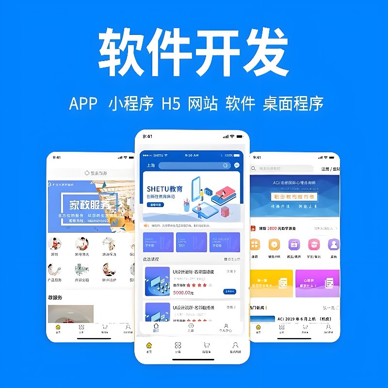 智能时代定制软件开发：赋能企业新高度